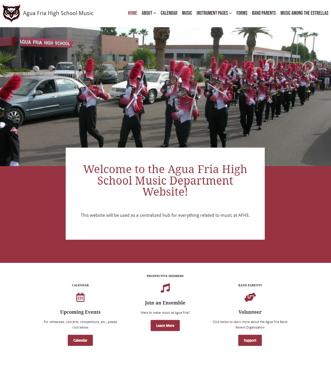 Picture of aguafriamusic.com landing page